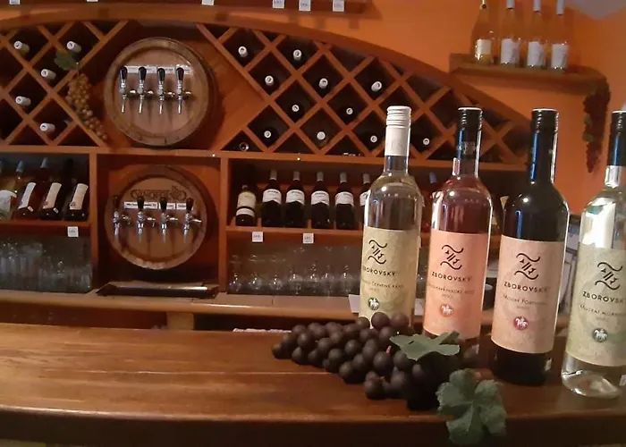 A Vinoteka Hrozen بيت ضيافة